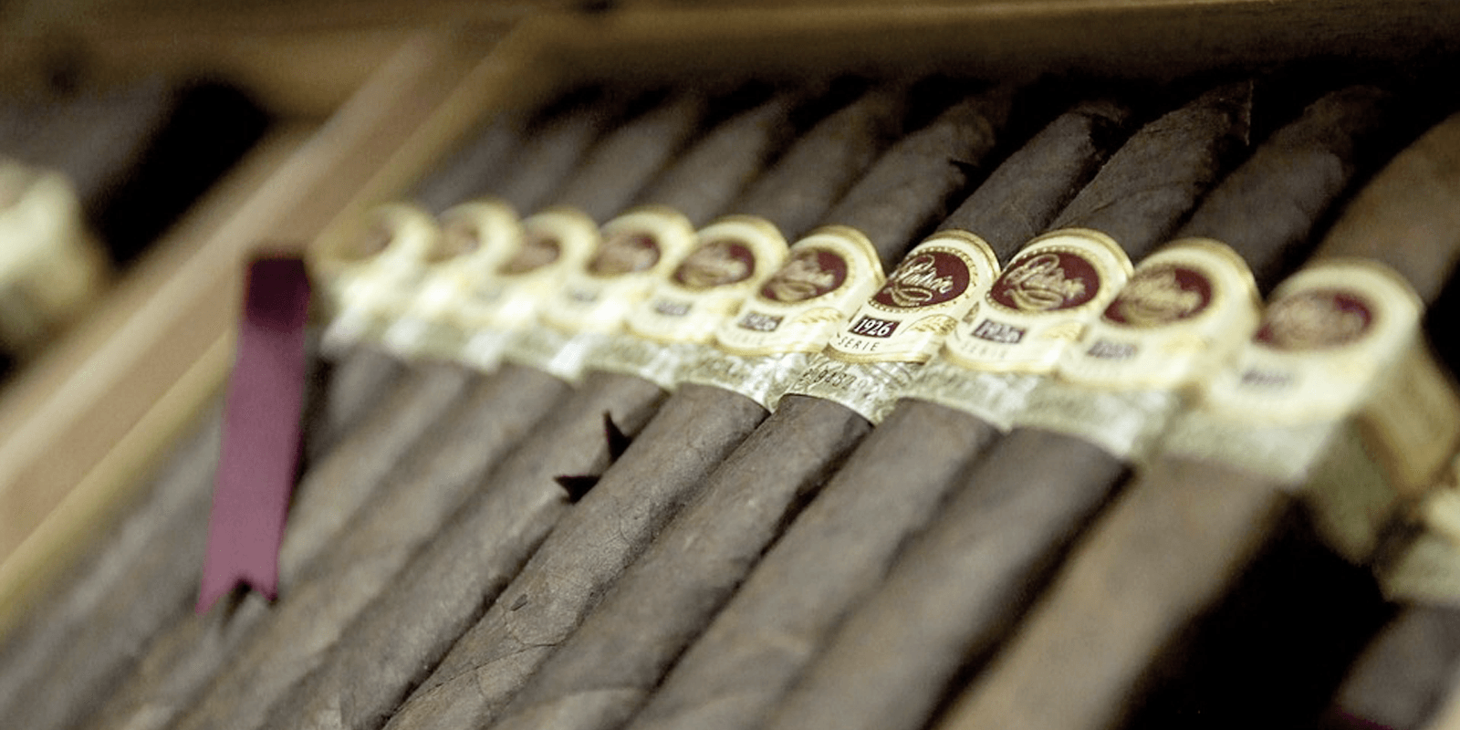 whats a herbal cigarette Herbal Cigarettes #1 by Photo Researchers